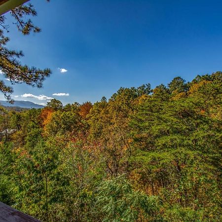 Ladybug Resort Romantic Cabin With Mountain Views, Game Room, Close To Dollywood Sevierville Buitenkant foto