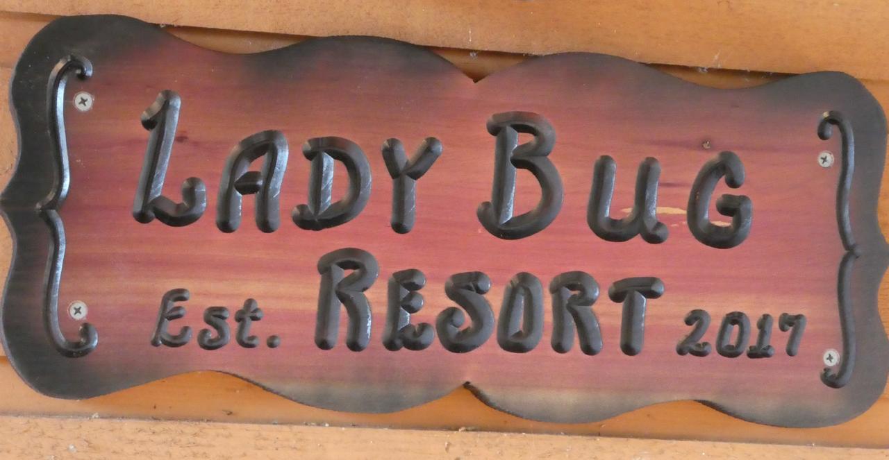 Ladybug Resort Romantic Cabin With Mountain Views, Game Room, Close To Dollywood Sevierville Buitenkant foto